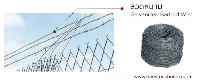 ลวดหนาม,ราคาถูก,ลวดหนามราคาถูก,ลวด,หนาม