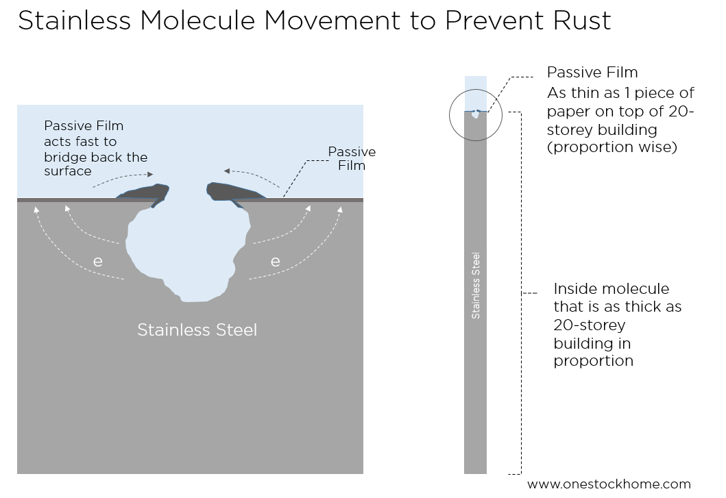 stainless,molecule,to help prevent rust,stainless steel,best,price
