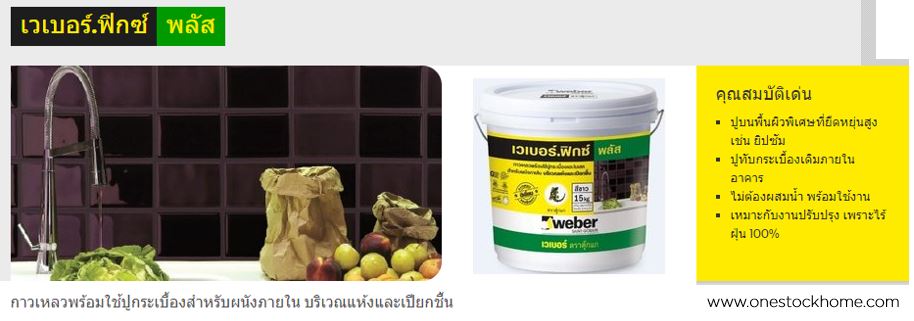 weber,ฟิกซ์,พลัส,เวเบอร์,ตุ๊กแก,ฟิกซ์พลัส,เวเบอร์ฟิกซ์