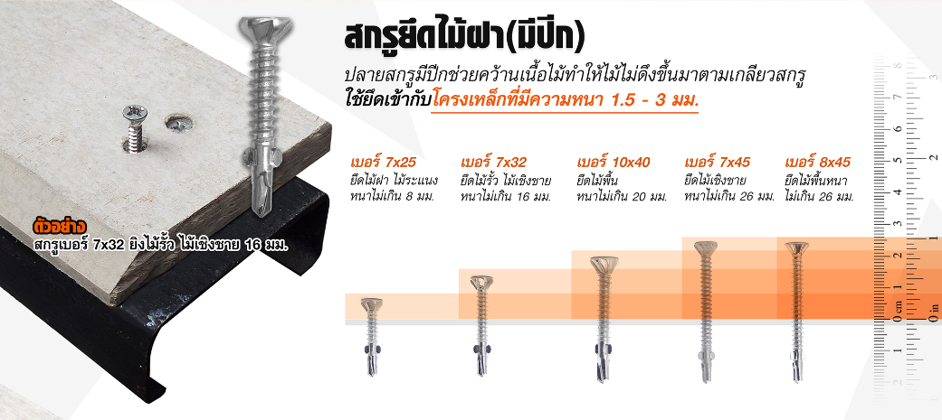 สกรูมีปีก,ยึดไม้ฝา,ปลายสว่านมีปีก