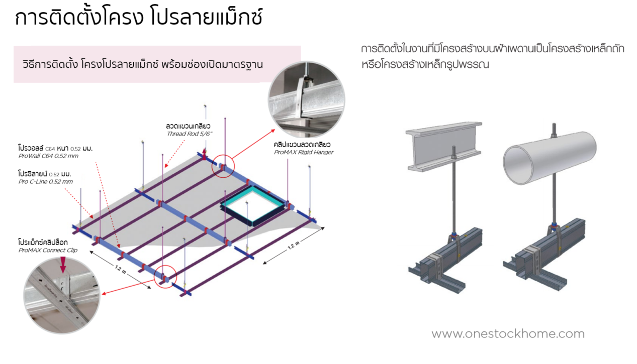 proline,pro-line,max,โปรลายน์แม็กซ์
