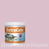TOA ExtraCote Semi-Gloss for Exterior 8722 Mirabella 1GL