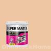 TOA Super Matex Matt for Exterior&Interior 8522 Skin Light 1GL