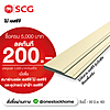 SCG Fascia One Piece 23x300 cm 24 mm Cream 8852404068139 (Cancelld)