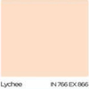 #Lychee 1/4 แกลลอน