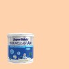 TOA SuperShield DURACLEAN A+ Semi-Gloss 7993 Melon Sorbet 1GL