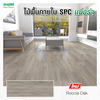 Shera SPC Flooring Modern 1 BP Surface Roccia Oak 5 x 180 x 1230 mm (Product with installation)