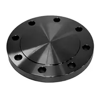 Cast Iron Blind Flange 4 in