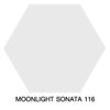 Dulux Supercote Nuvotex Interior Moonlight Sonata 116 1 Gallon