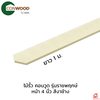 10x100x1.6 ซม. ยาว 1 เมตร