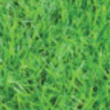 Artificial Grass SCG: Saving Grass (make to order) 40 mm Bright Green