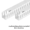 ขนาด 40x40 มม.