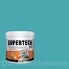 TOA Supertech Plus Acrylic Paint Semi-Gloss for Exterior 7455 Brookside 1GL
