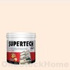 TOA Supertech Plus Acrylic Paint Matt for Exterior SP103 Dawn Chorus 5GL