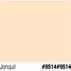 JBP Future Shield (Semi-Gloss) Jobquil 1 Gallon