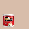TOA 4 Seasons Acrylic Paint Matt for Exterior A1013 Old Rose 5GL
