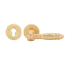 HAFELE LEVER HANDLE SET ENTRANCE SATIN BRASS TYPE C (499.62.409)