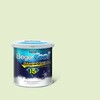 BegerCool Diamond Shield 15 Exterior Semi-Gloss Garden of Light 068-2 9 litres (Cancelled)