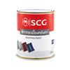 Excella Grace Ionic Roofing Paint 