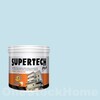 TOA Supertech Plus Acrylic Paint Semi-Gloss for Exterior 7363 High Spirits 1GL