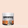 TOA Supertech Plus Acrylic Paint Semi-Gloss for Exterior 8043 Dulce Day 2.5GL