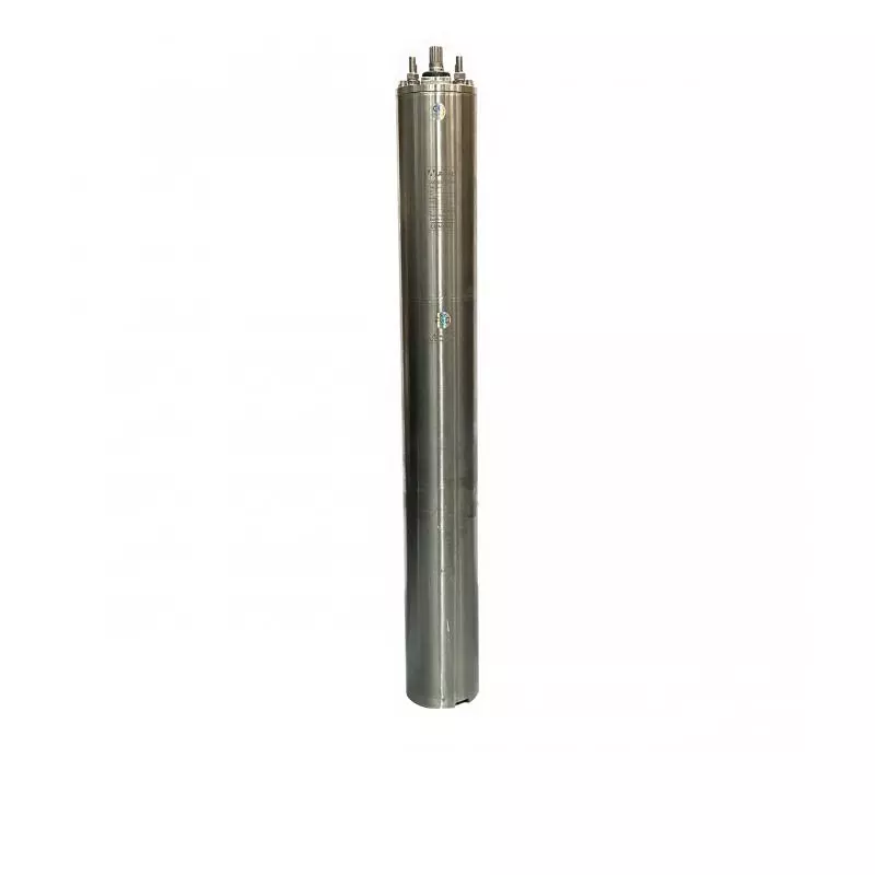 ซับเมอร์ส 4 นิ้ว NASH AC/DC 220 รุ่น 4CWTF-1