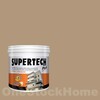 TOA Supertech Plus Acrylic Paint Semi-Gloss for Exterior 8544 Under Cover 1GL