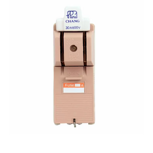 คัทเอาท์ 2P 30A-1