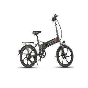 electric bicycle-20LVXD30-1