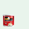 TOA 4 Seasons Acrylic Paint Matt for Exterior A3001 Apple White 1GL