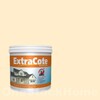 TOA ExtraCote Semi-Gloss for Exterior X203 Vanilla 1GL