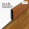 สี Wild Cherry
