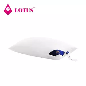 หมอนหนุน MICRODOWNIA FIRM LOTUS-1