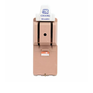 คัทเอาท์ 2P 100A-1