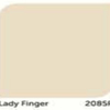 JBP สีน้ำอะครีลิคเจบีพีสมาร์ทชิลด์เวทเธอร์แม็กซ์ ชนิดกึ่งเงา Lady Finger 5 แกลลอน