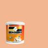 TOA 4 Seasons Acrylic Paint Semi-Gloss for Exterior 8000 Fawn Farrah 5GL