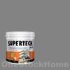 TOA Supertech Plus Acrylic Paint Semi-Gloss for Exterior 8295 Cast in Stone 1GL