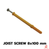 Joist สกรู 8x100 มม.