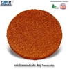 Round Ridge End Cover Casa Spain 760 Terracotta