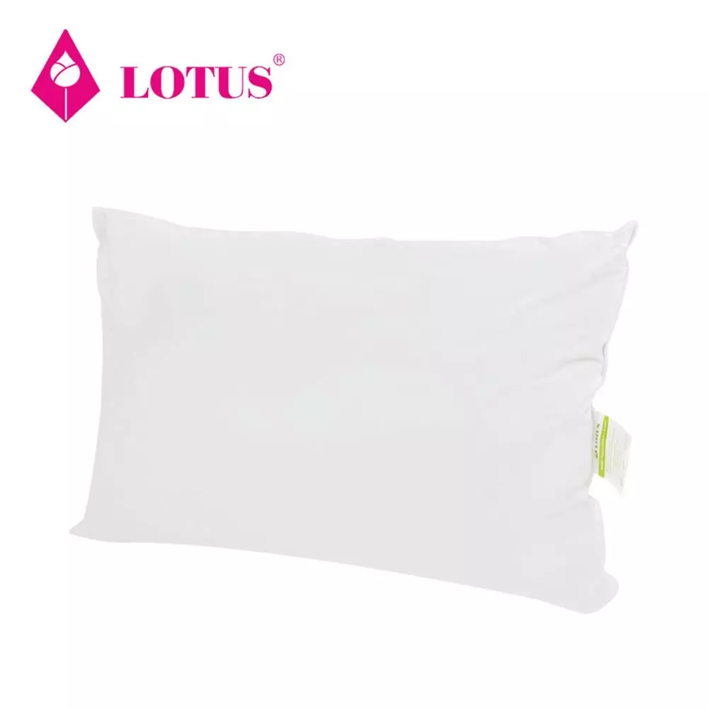 หมอนหนุน สูญญากาศ LOTUS-1
