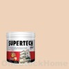 TOA Supertech Plus Acrylic Paint Matt for Exterior SP112 Honey Gold 1GL