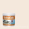 TOA ExtraCote Semi-Gloss for Exterior 8620 Kensington 1GL