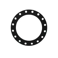 Flange Rubber Gasket 10K 16 in