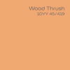 Dulux Inspire Exterior Matt Wood Thrush 10YY 45/419 9 Litre