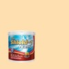 TOA Shield-1 Nano Sheen for Exterior and Interior 7970 Such a Peach 1/4GL