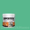 TOA Supertech Plus Acrylic Paint Semi-Gloss for Exterior 7599 Ivar Ivy 1GL