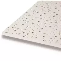 แผ่นฝ้าปรุลาย TexturTouch รุ่นไอออน คลีน ลายปักเป้า (Balloonfish) 600x1200x12 มม. 8852429436111