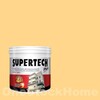 TOA Supertech Plus Acrylic Paint Matt for Exterior 7952 Dreamsicle 2.5GL
