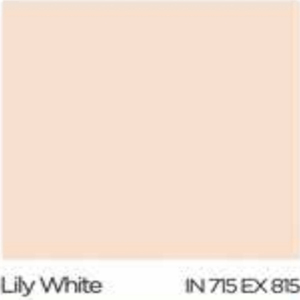 สีทาภายนอก เกรดมาตรฐานบน Medium JBP | OneStockHome