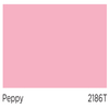 JBP Airclean (Semi-glow Texture) Peppy 1 Gallon